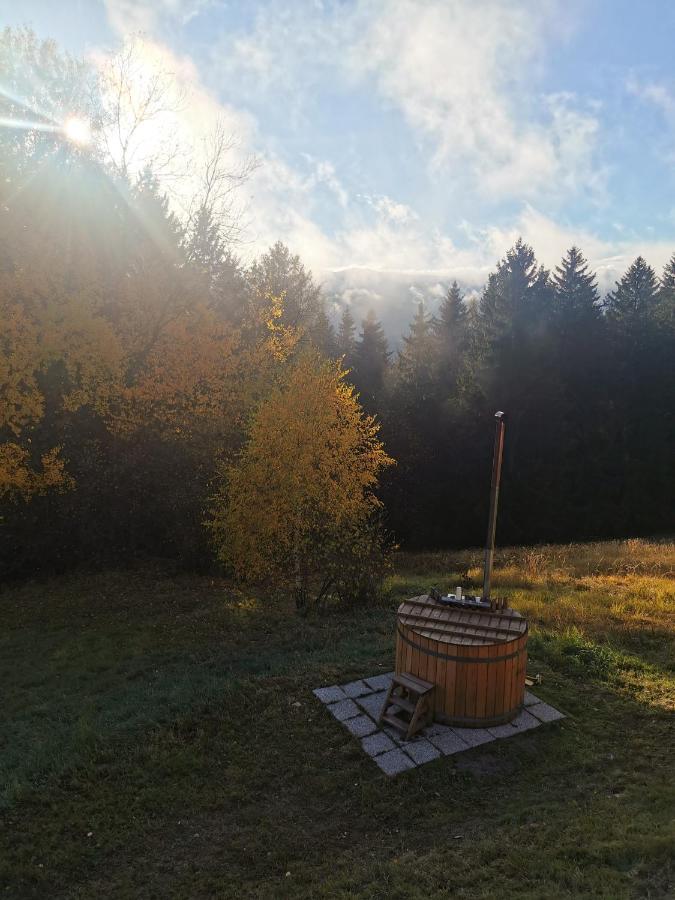 Das Koralpenchalet...Sonne, Wald, Natur! Trahutten Buitenkant foto