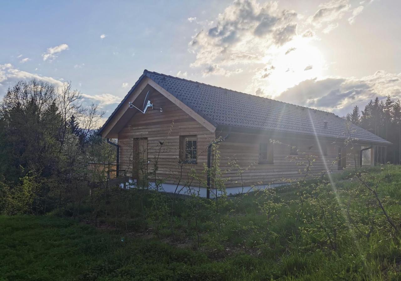 Das Koralpenchalet...Sonne, Wald, Natur! Trahutten Buitenkant foto