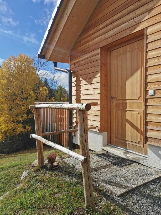 Das Koralpenchalet...Sonne, Wald, Natur! Trahutten Buitenkant foto
